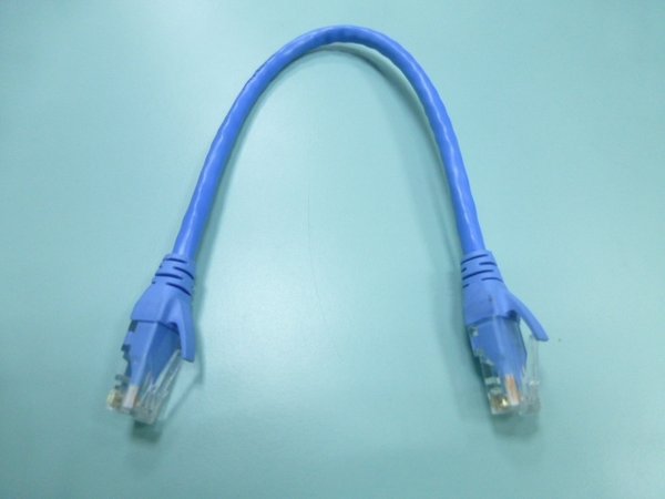 300mm / 1ft CAT6 LAN cable