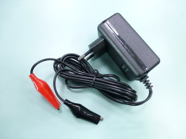 6V 1A battery charger for Wet, AGM, GEL, SLA sealed lead acid battery charger